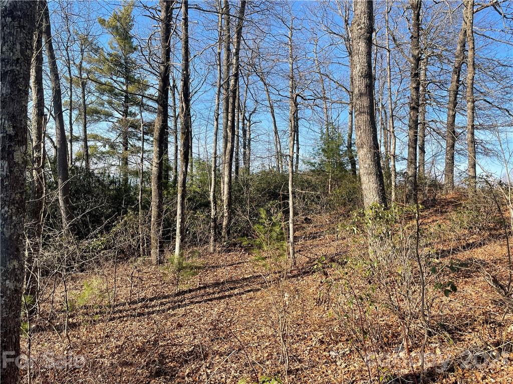 Property image 4 of Tbd Panther Run Road in Ridge Haven, Brevard, NC 28712