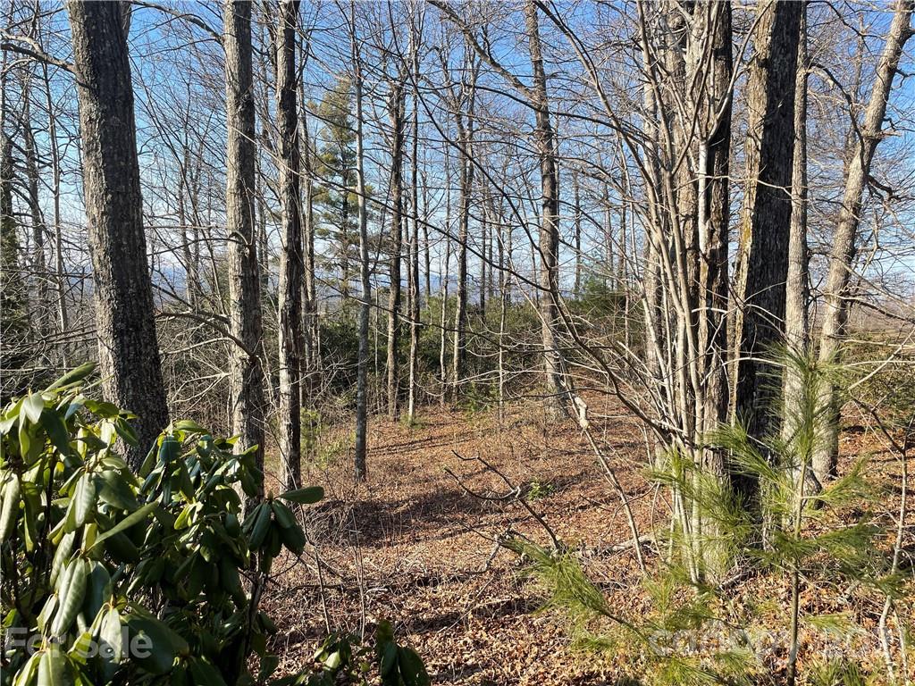 Property image 5 of Tbd Panther Run Road in Ridge Haven, Brevard, NC 28712