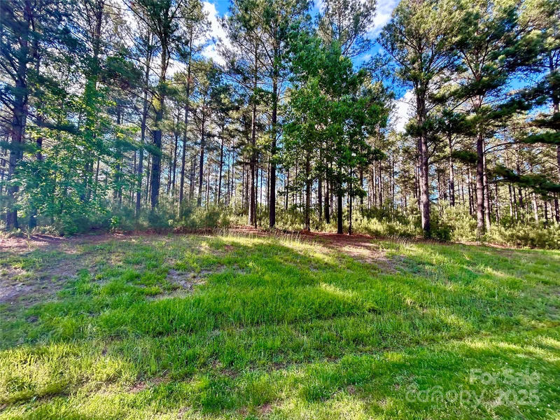 Property image 2 at 200 Plantation Way, Mount Gilead, NC 27306