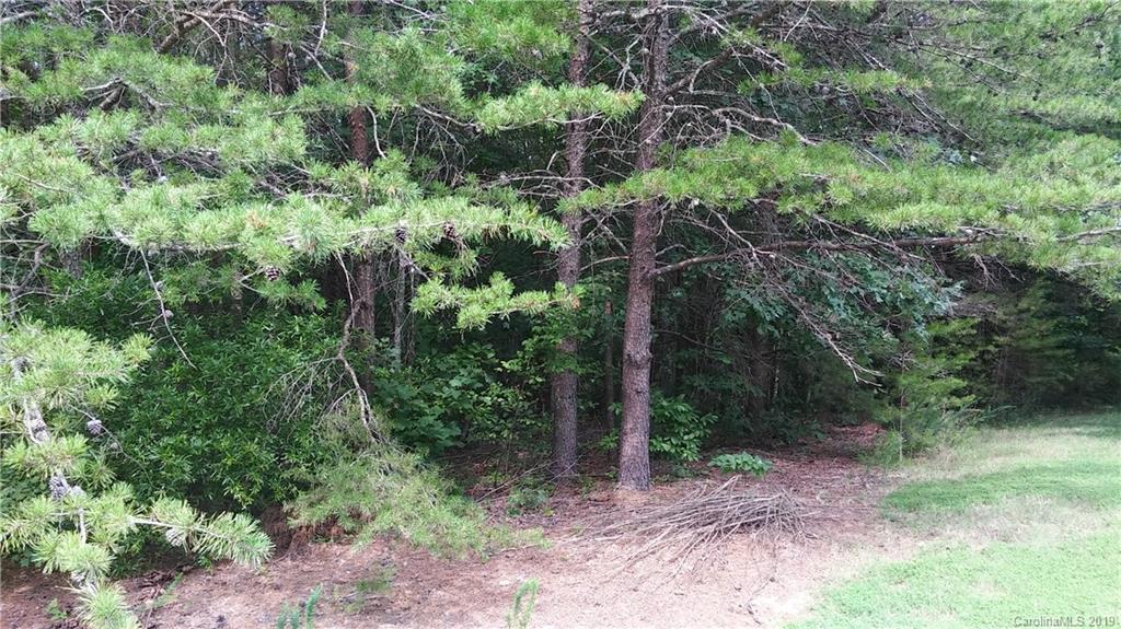 Property image 3 of 1956 Elk Track None in River Run, Hickory, NC 28602
