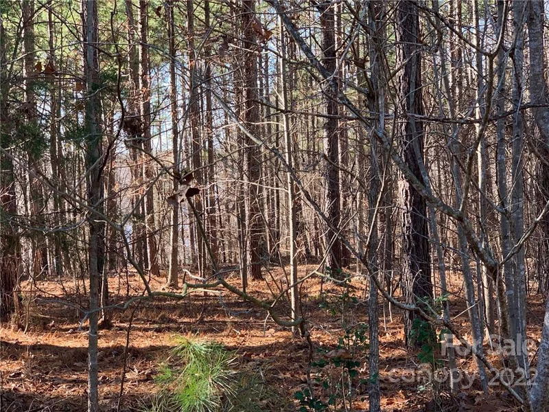 129 Water Oak Way