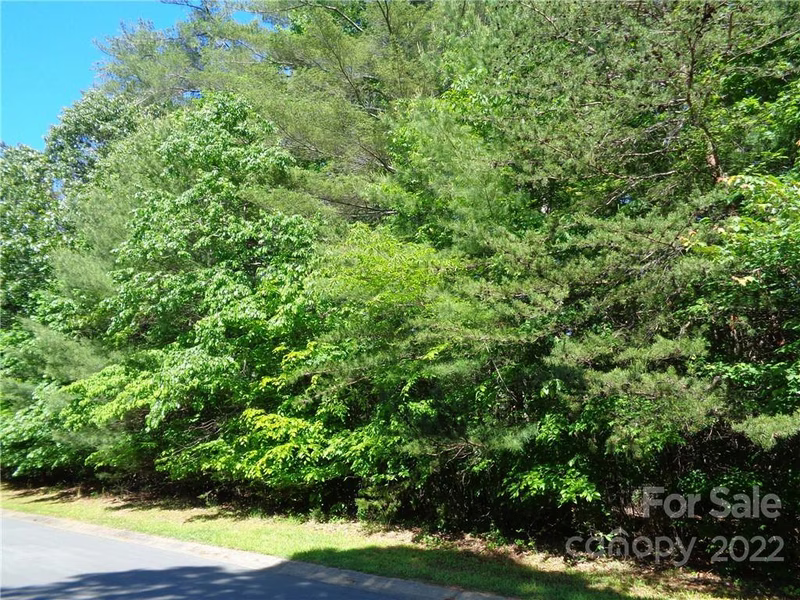 Property image 2 at N A Lentz Landing Lane, Nebo, NC 28761