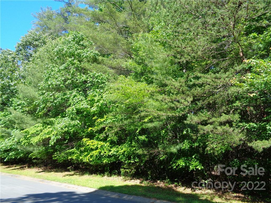Property image 2 of N A Lentz Landing Lane in Waterglyn, Nebo, NC 28761