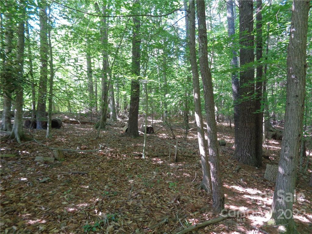 Property image 3 of N A Lentz Landing Lane in Waterglyn, Nebo, NC 28761