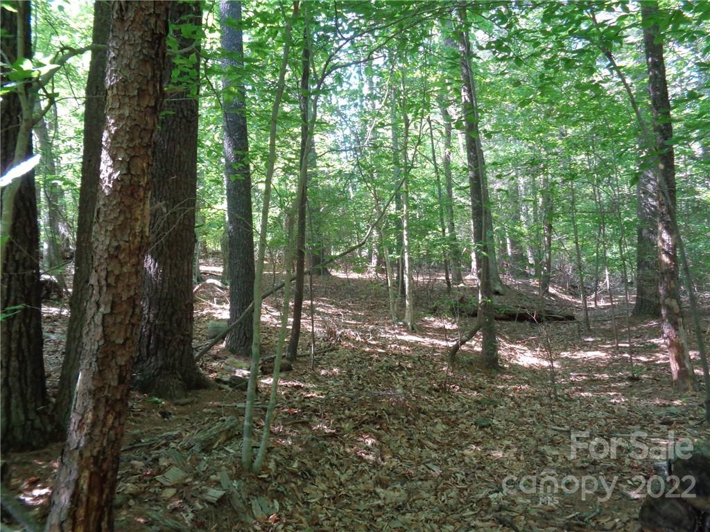 Property image 4 of N A Lentz Landing Lane in Waterglyn, Nebo, NC 28761