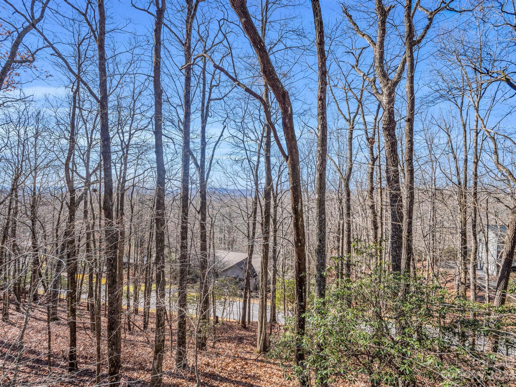 Property image 2 of Tbd Cheestoonaya Way in Connestee Falls, Brevard, NC 28712