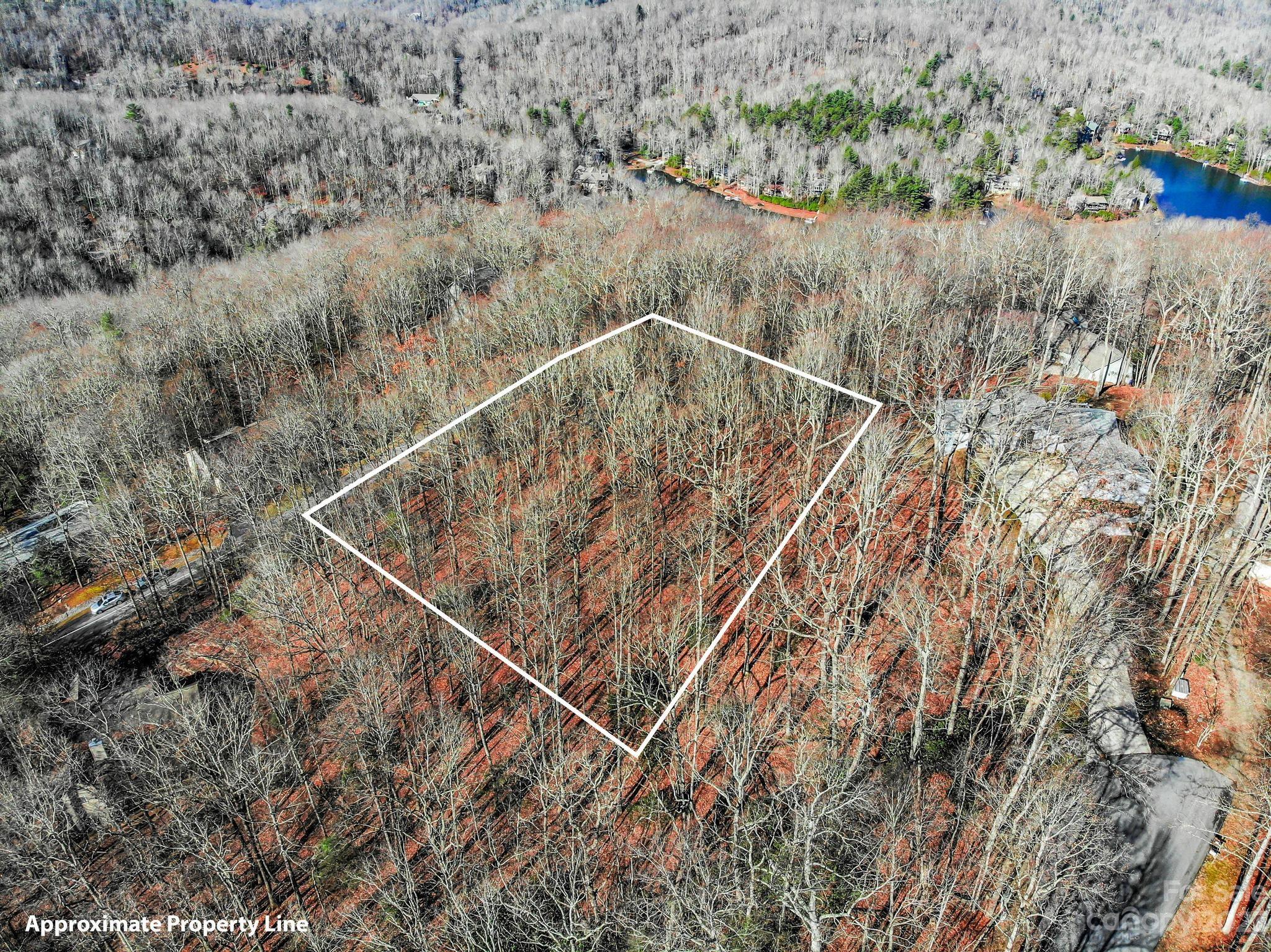 Property image 4 of Tbd Cheestoonaya Way in Connestee Falls, Brevard, NC 28712