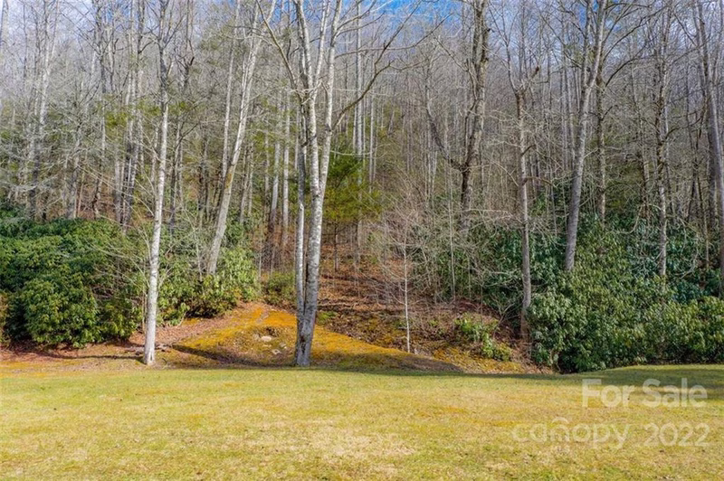 Property image 4 at 00 Golden Trout Drive, Spruce Pine, NC 28777