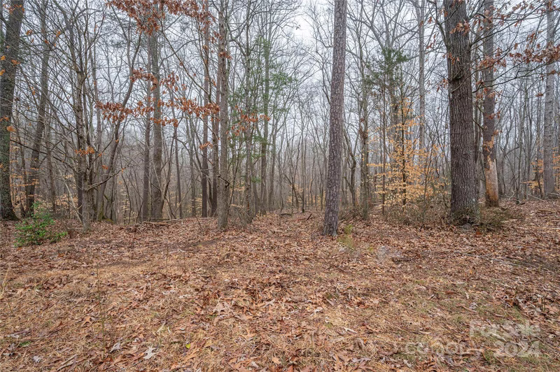 Property image 4 at 5011 Grassy Creek Road, Denver, NC 28037
