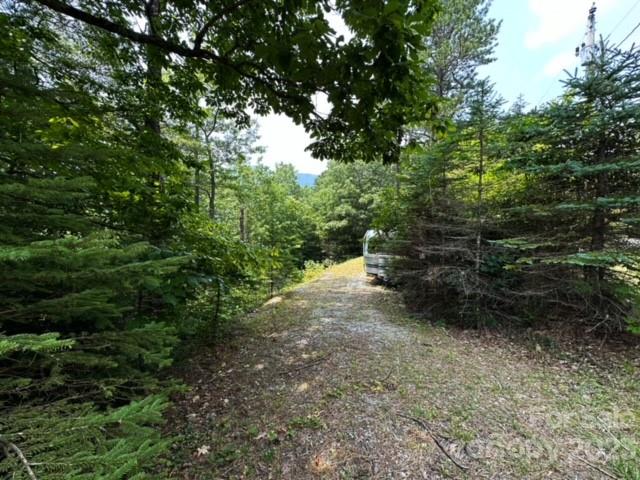 Property image 2 of 445 Bear Cub Drive in Bear Den Acres, Spruce Pine, NC 28777