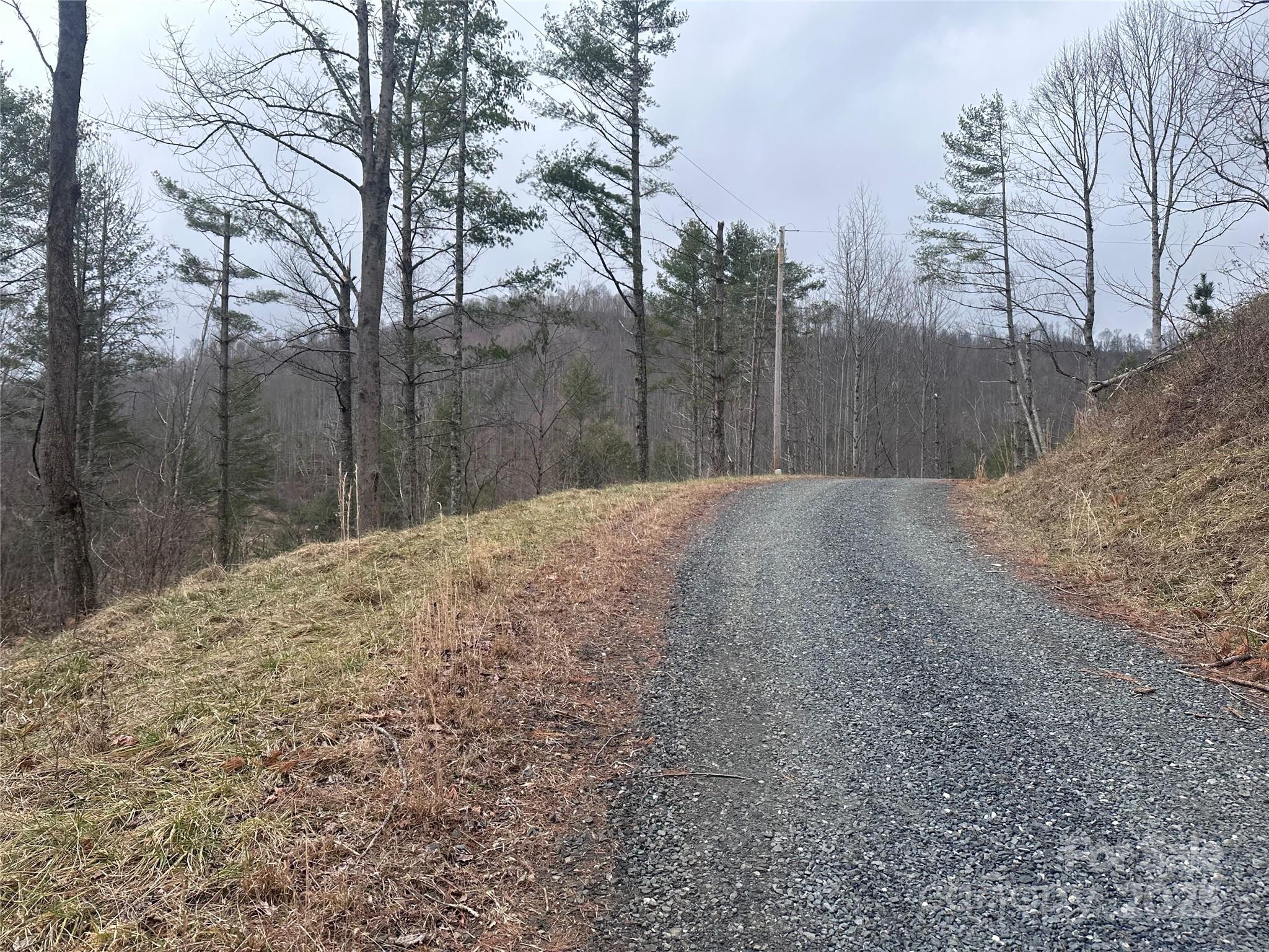 Property image 3 of 99999 Mountain Crest Drive in Beech Creek, Bakersville, NC 28705