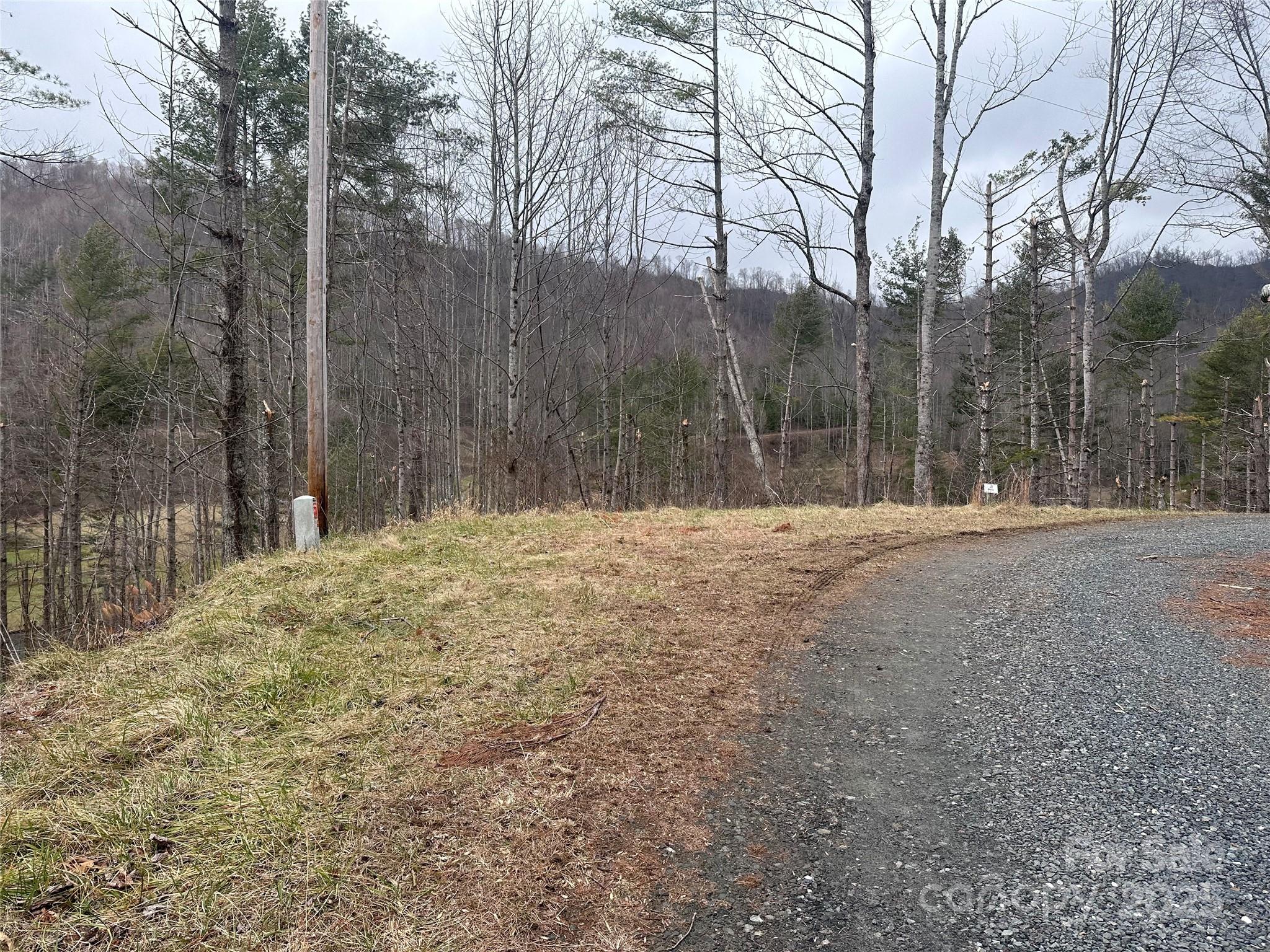 Property image 4 of 99999 Mountain Crest Drive in Beech Creek, Bakersville, NC 28705