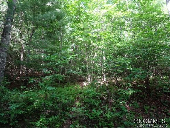 Property image 2 of 0 Deer Meadow Lane in Jeter Mtn Terrace, Hendersonville, NC 28739