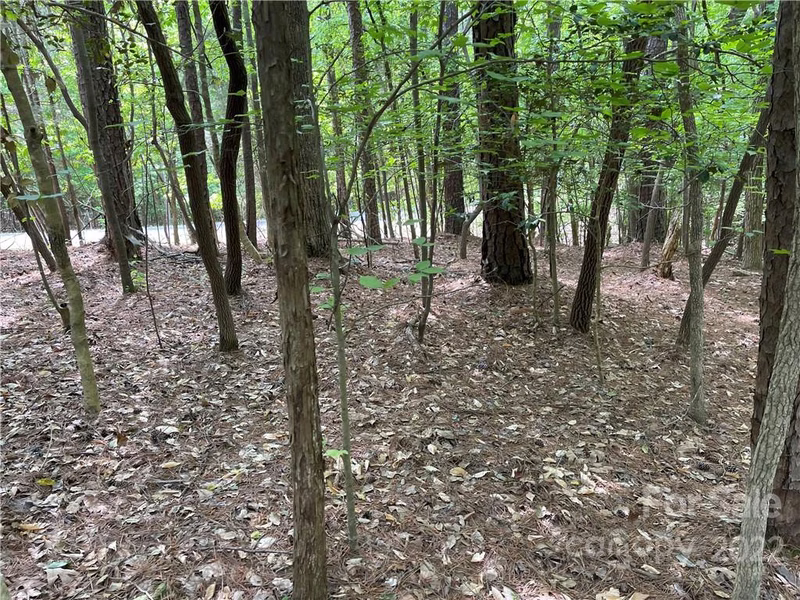 Property image 3 at 434 Plantation Way, Mount Gilead, NC 27306
