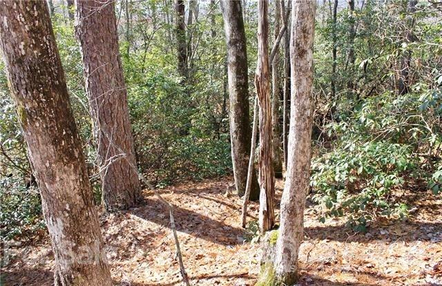 Property image 2 of Tbd East View Road in Ridge Haven, Brevard, NC 28712