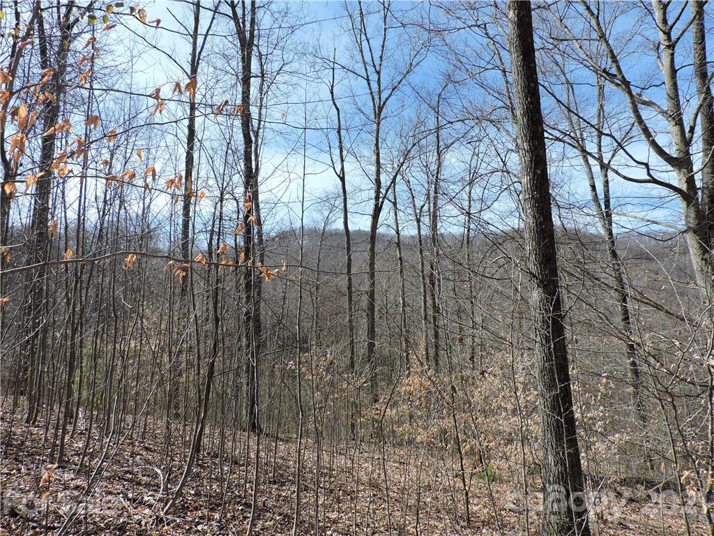 Property image 2 of 0 Sleepy Oak Lane in Shadowood section II, Spruce Pine, NC 28777