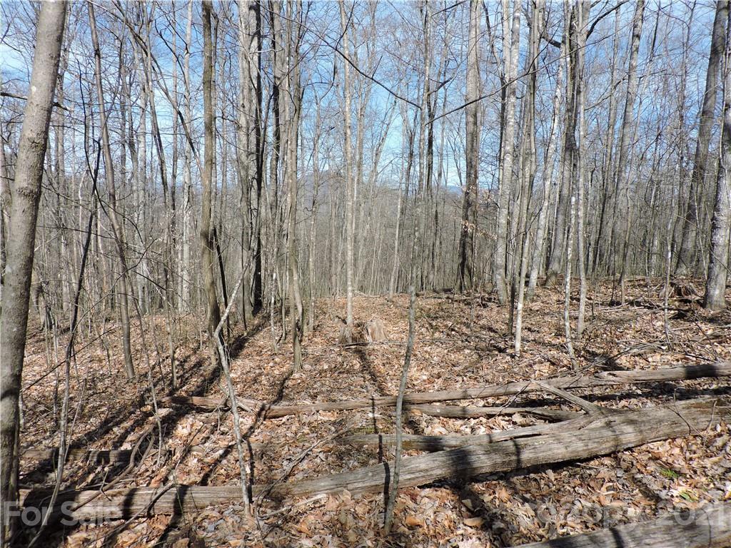 Property image 3 of 0 Sleepy Oak Lane in Shadowood section II, Spruce Pine, NC 28777