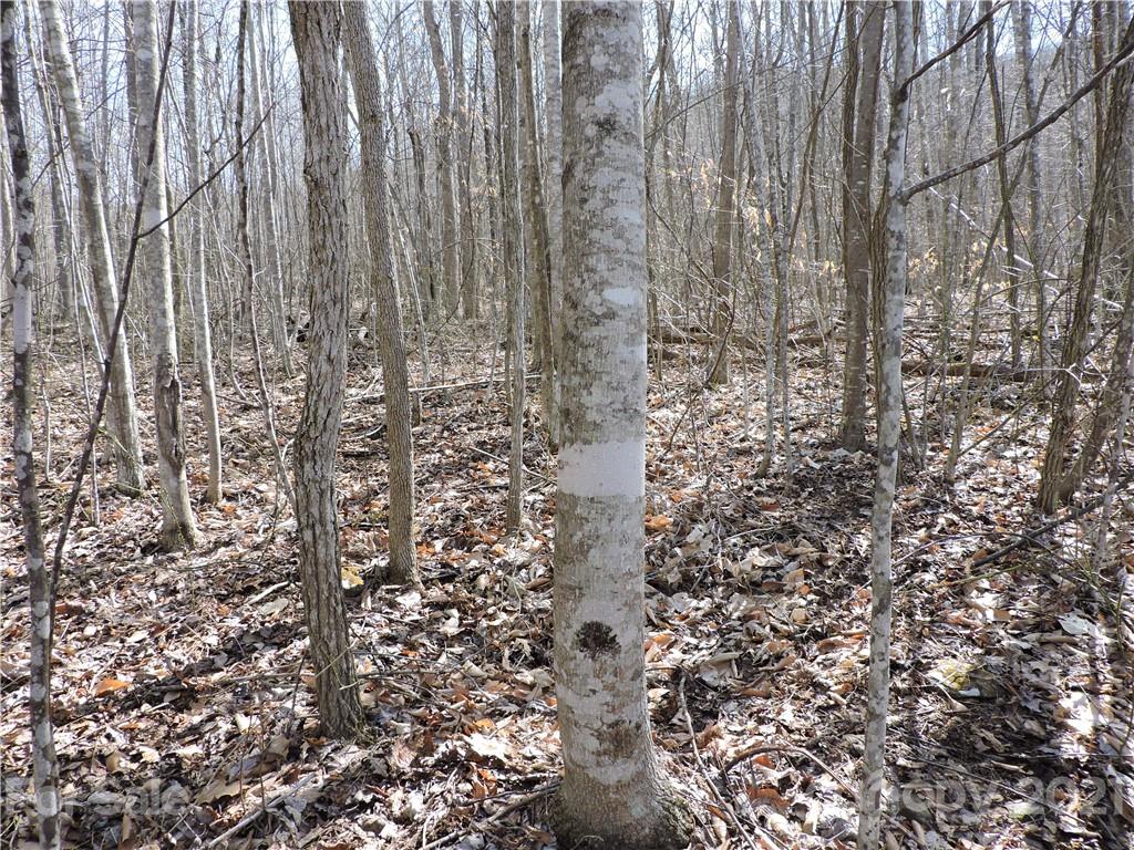 Property image 5 of 0 Sleepy Oak Lane in Shadowood section II, Spruce Pine, NC 28777