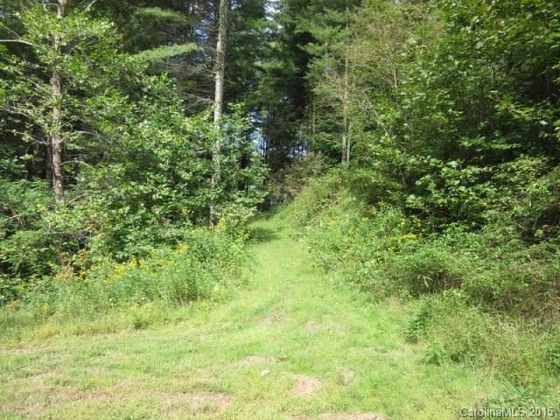 Property image 3 at 0 Big Rock Drive, Bakersville, NC 28705