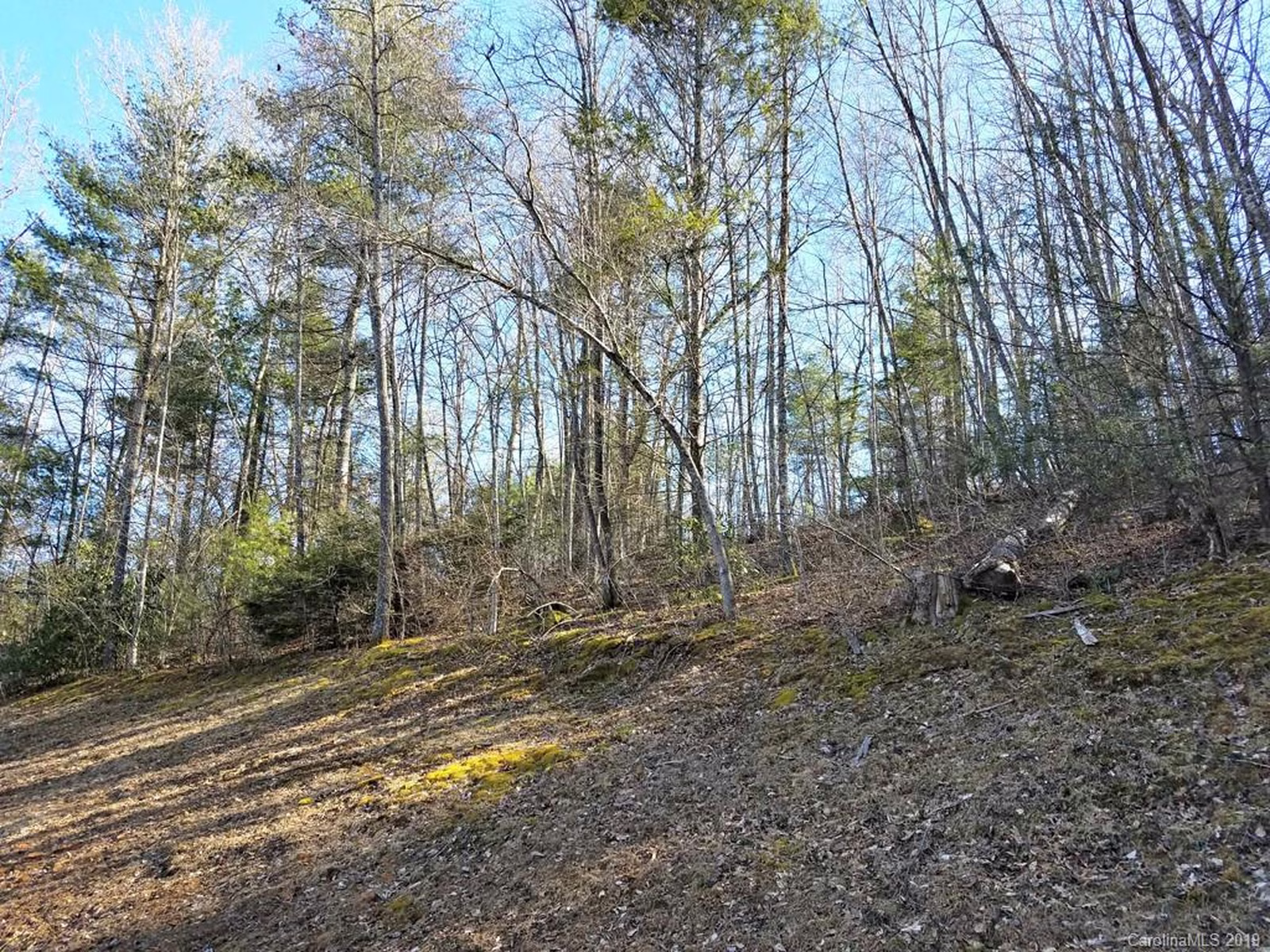 Property image 1 at Lot 26 Clearwater Lane, Burnsville, NC 28714