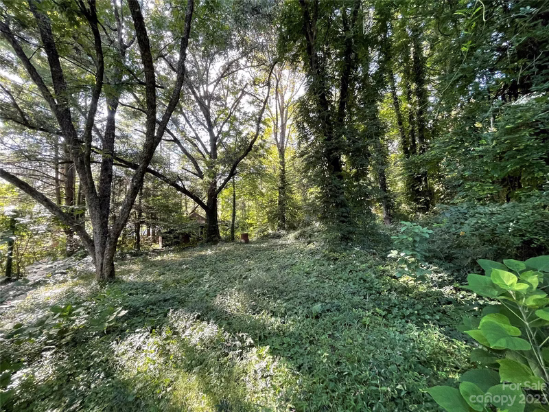 Property image 3 at 105 Pine Hill Drive, Swannanoa, NC 28778