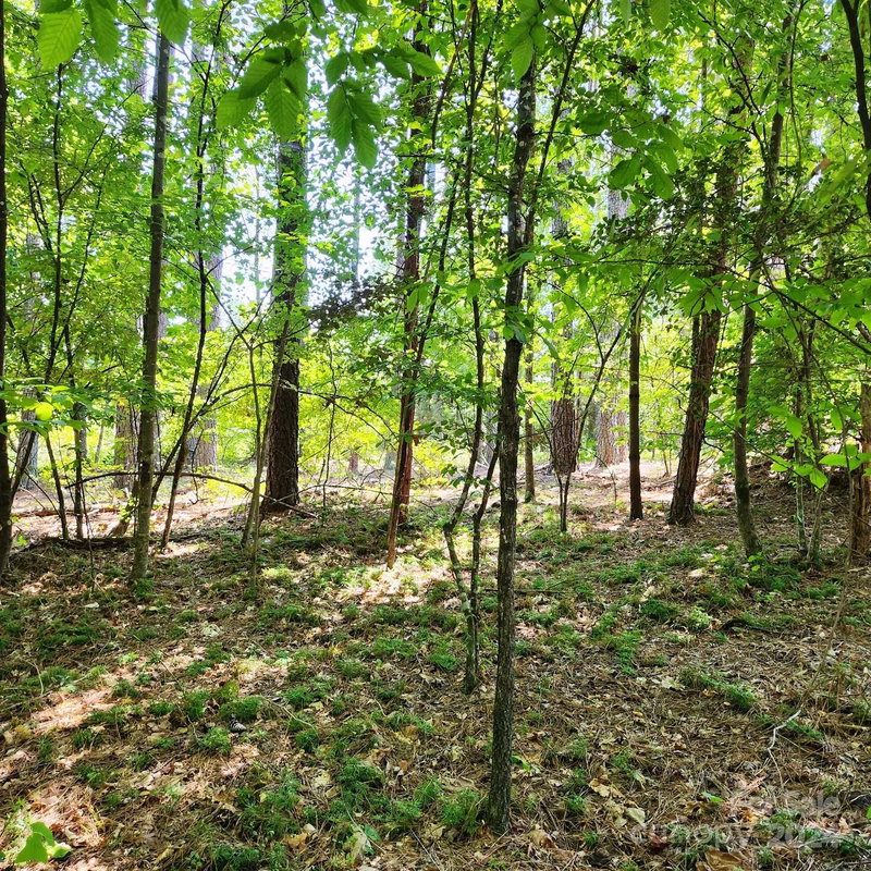 Property image 4 at 6175 Plantation Pointe Drive, Granite Falls, NC 28630