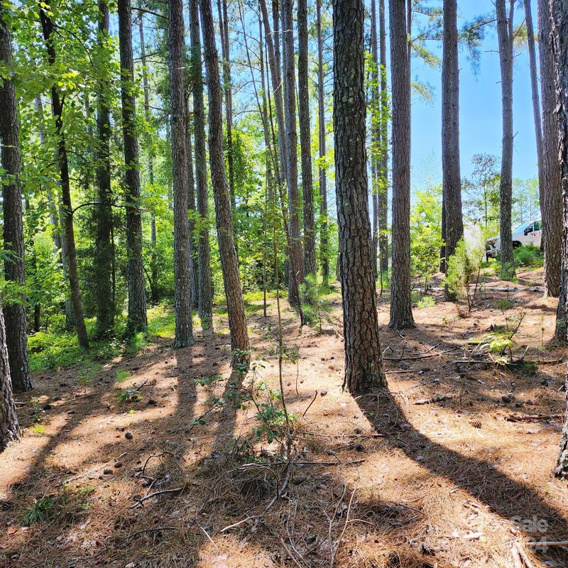 Property image 5 at 6175 Plantation Pointe Drive, Granite Falls, NC 28630
