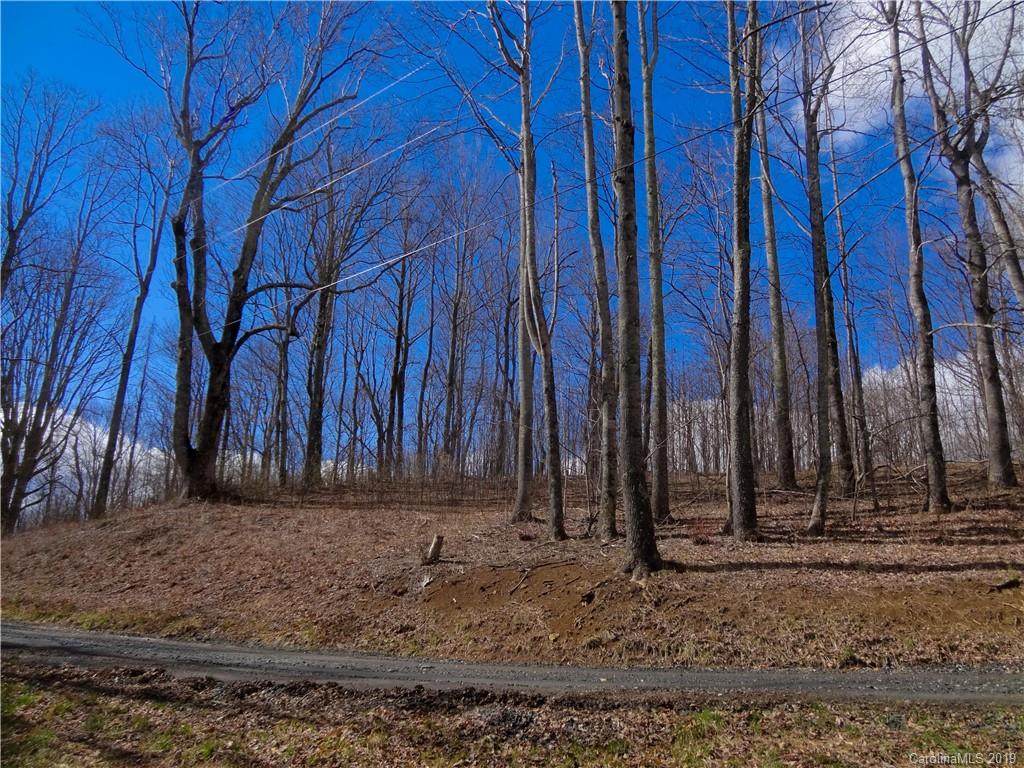 Property image 2 of 39 Amber Way in Amber Ranches, Bakersville, NC 28705