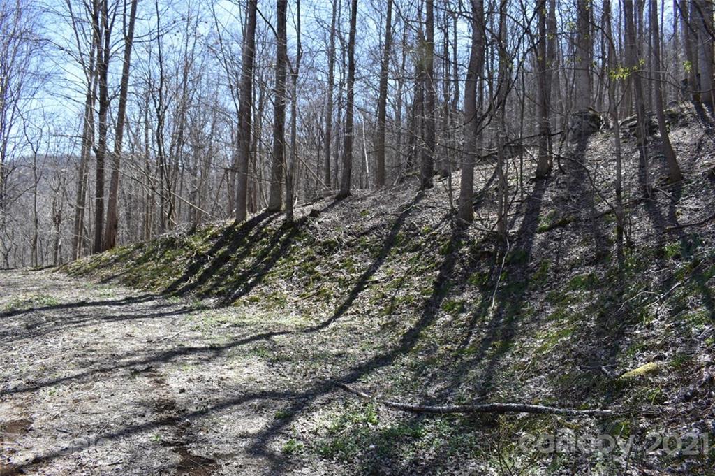 Property image 2 of Lot 21 Rock Springs Road in Bear Ridge, Bakersville, NC 28705
