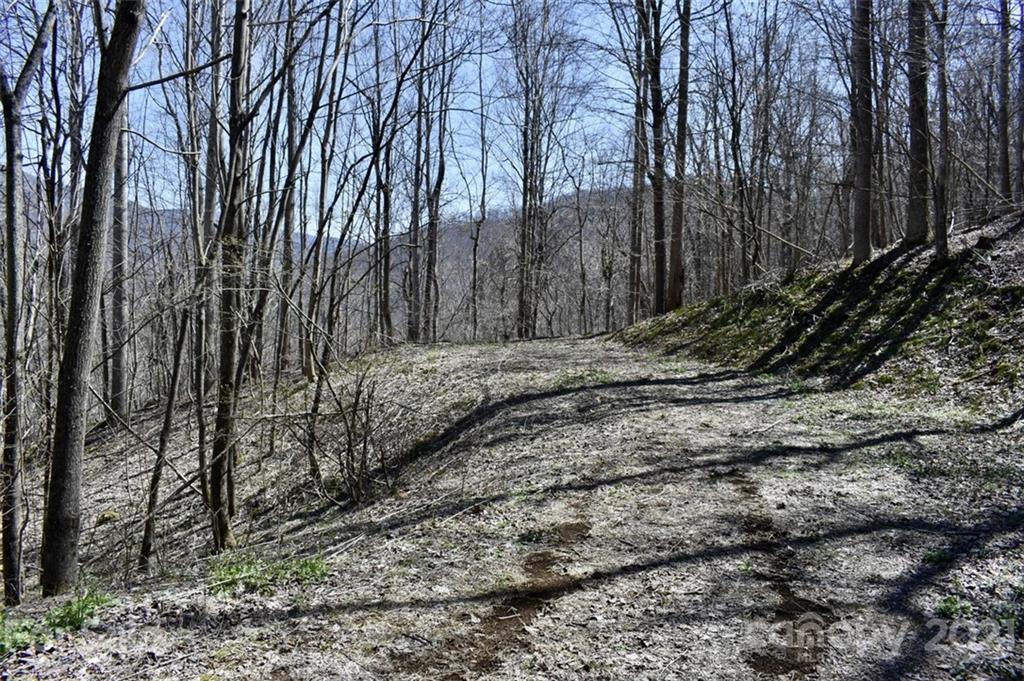 Property image 4 of Lot 21 Rock Springs Road in Bear Ridge, Bakersville, NC 28705