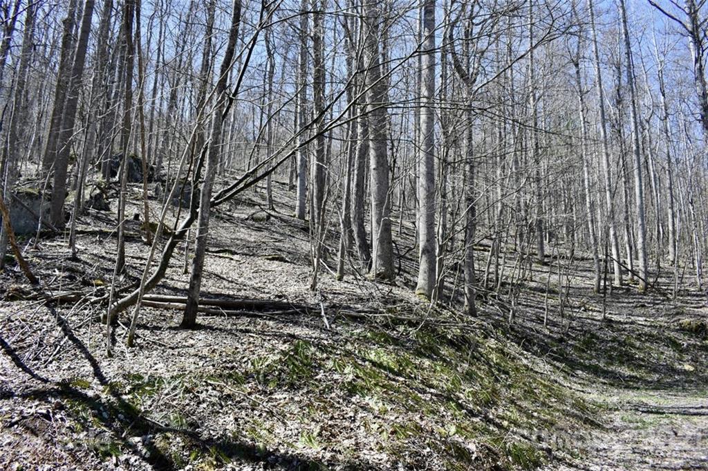 Property image 5 of Lot 21 Rock Springs Road in Bear Ridge, Bakersville, NC 28705
