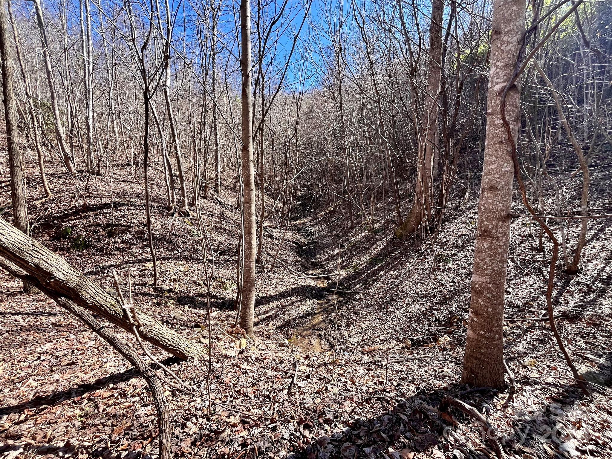 Property image 2 of Lot 147 Big View Drive in Forest Heights, Marion, NC 28752