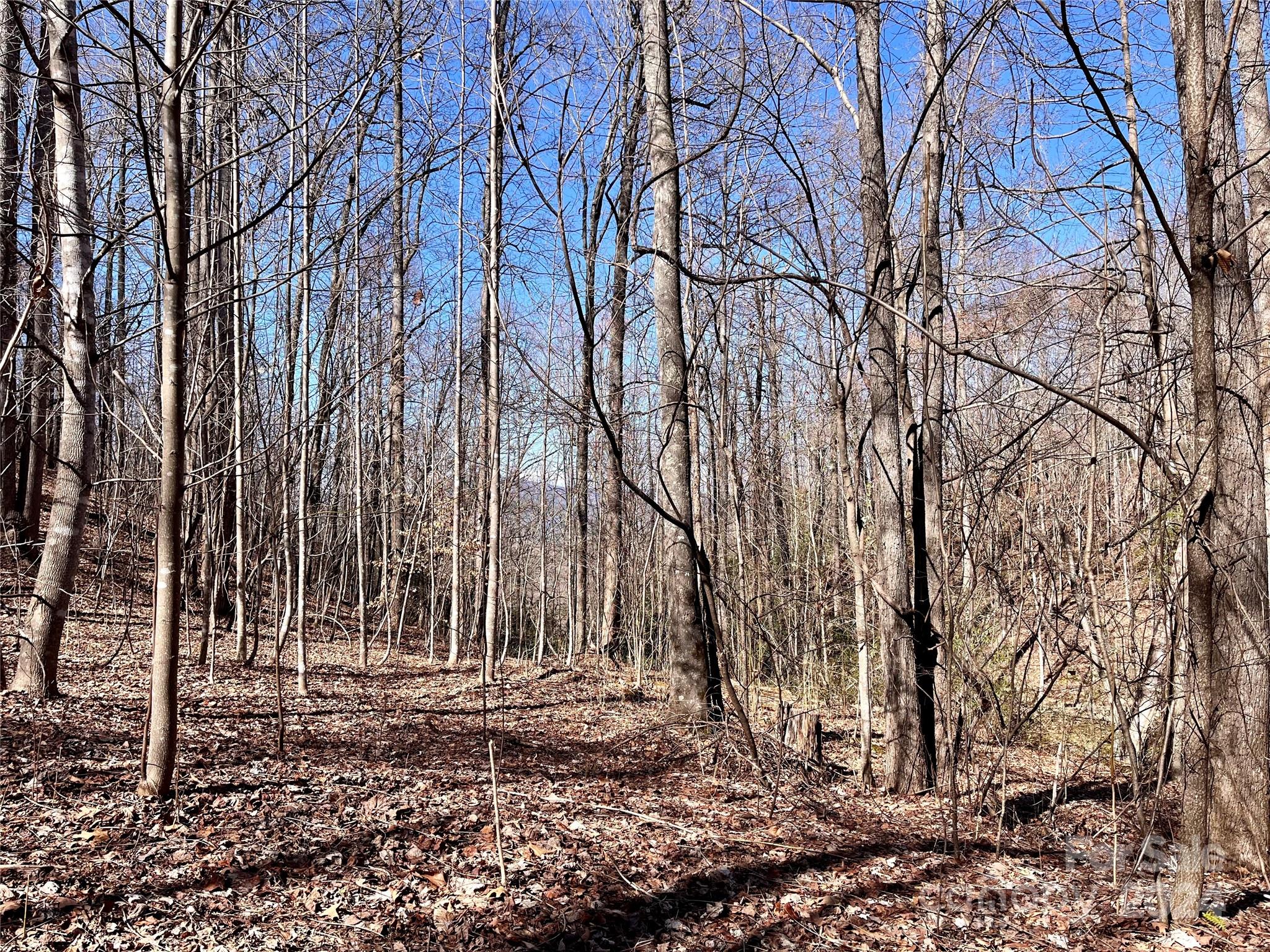 Property image 3 of Lot 147 Big View Drive in Forest Heights, Marion, NC 28752