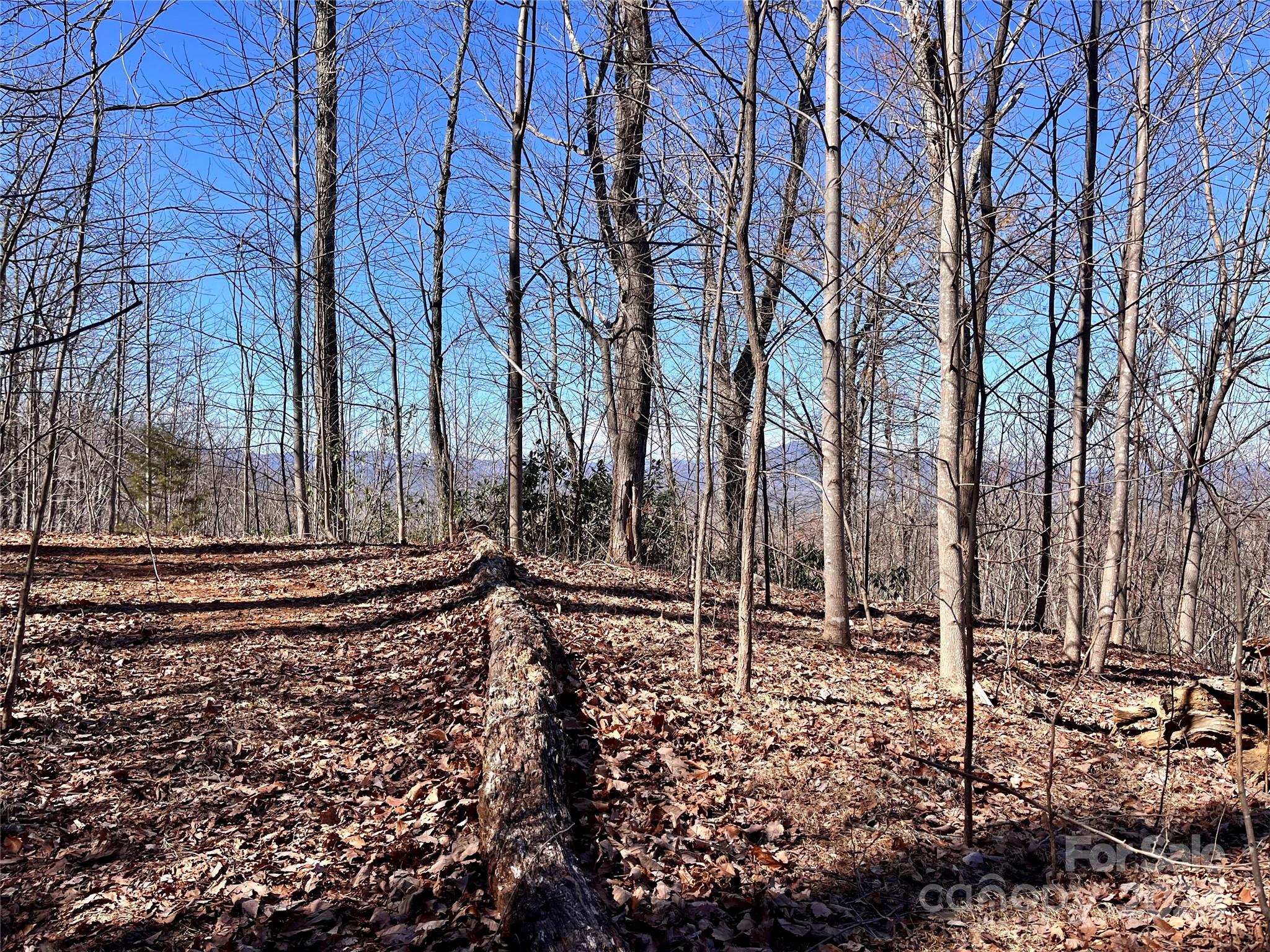 Property image 4 of Lot 147 Big View Drive in Forest Heights, Marion, NC 28752