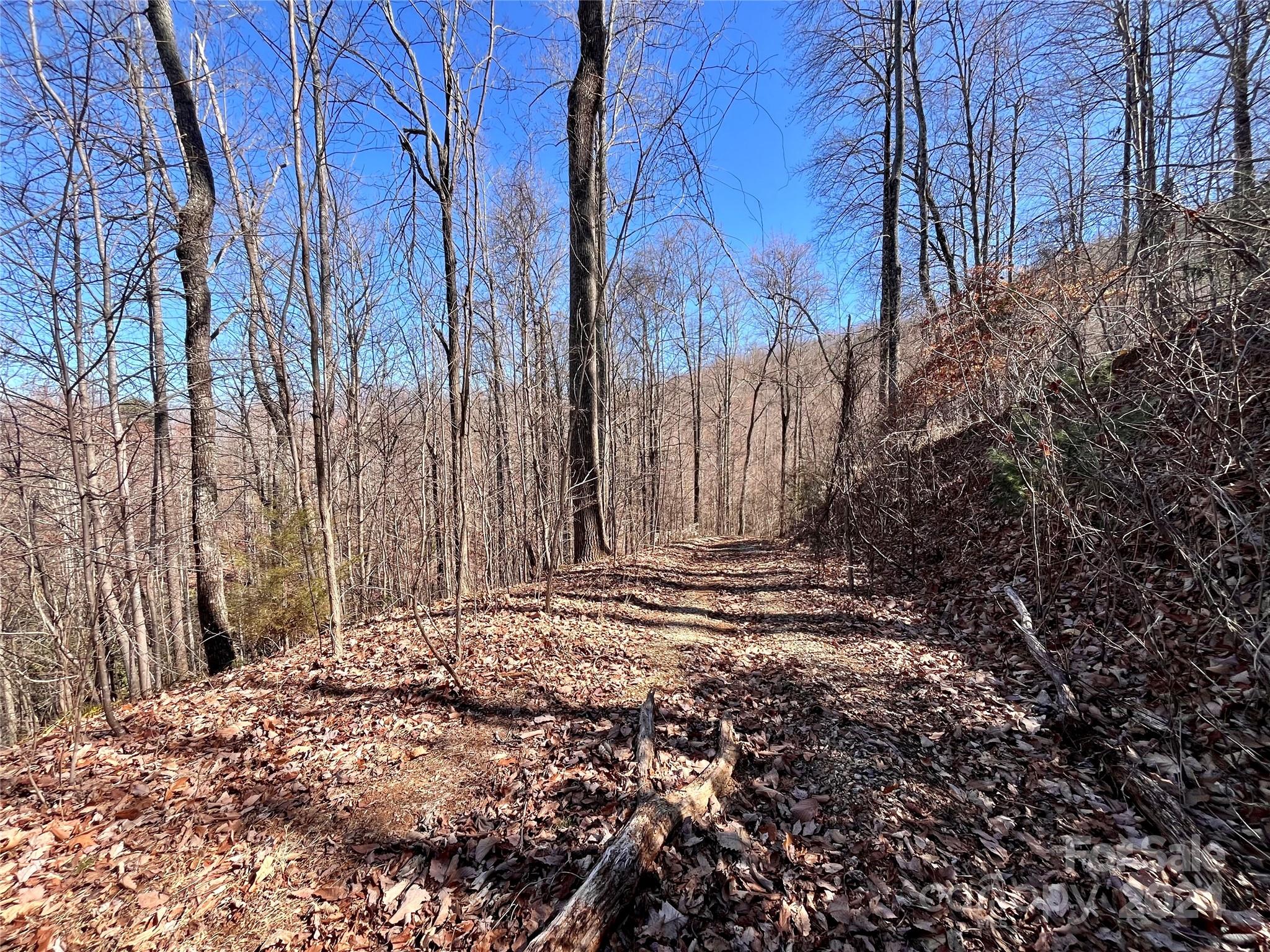 Property image 5 of Lot 147 Big View Drive in Forest Heights, Marion, NC 28752