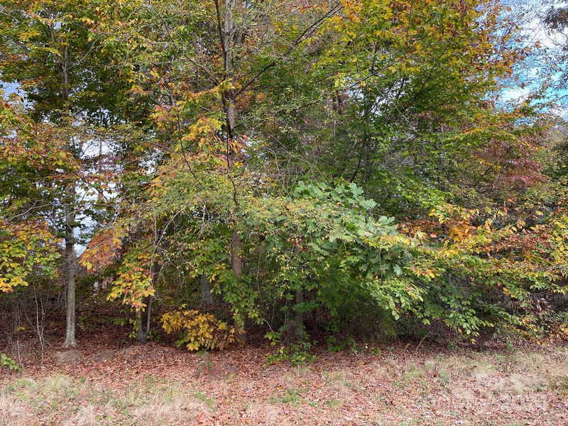 Property image 3 at 422 Rugby Road, Salisbury, NC 28144
