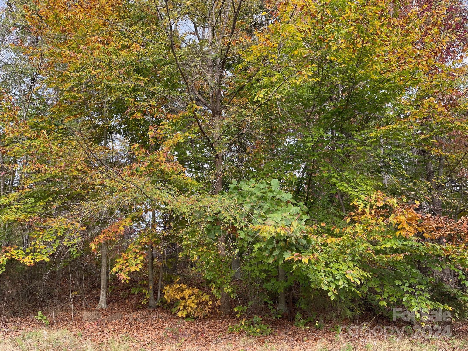 Property image 1 at 422 Rugby Road, Salisbury, NC 28144