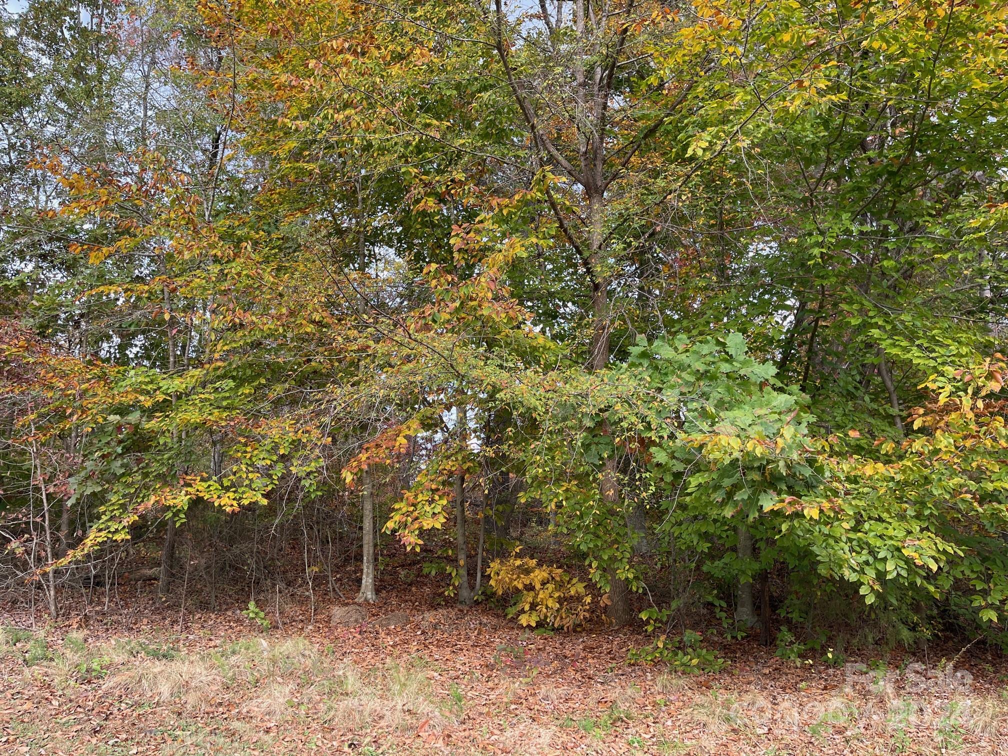 Property image 2 of 422 Rugby Road in Country Club Hills, Salisbury, NC 28144