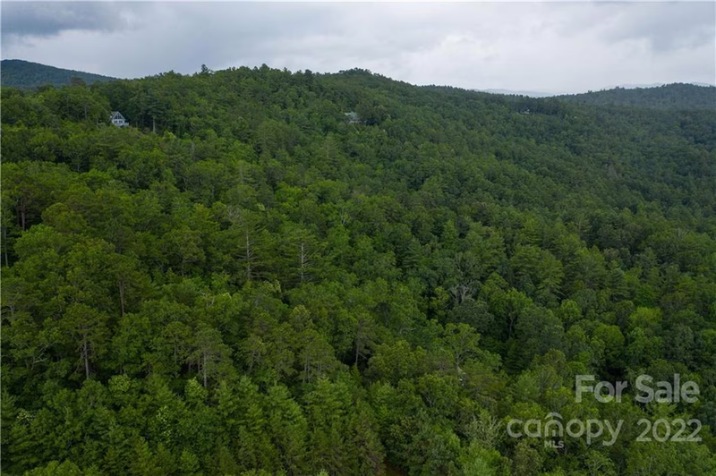 Property image 4 at Lot 33 Morgan Drive, Penrose, NC 28766