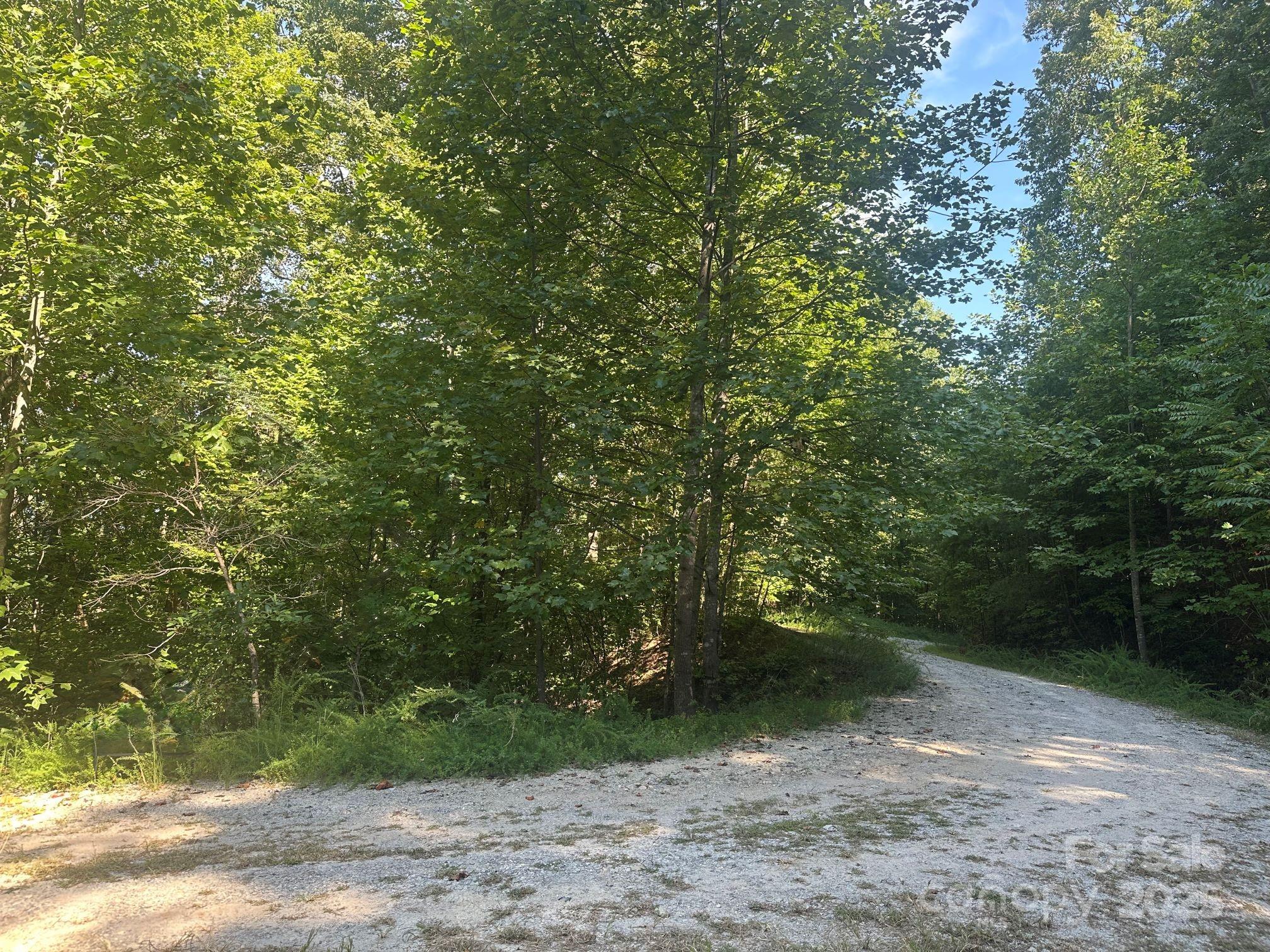 Property image 2 of 9999 N Woodchuck Lane in Haven Heights, Marion, NC 28752