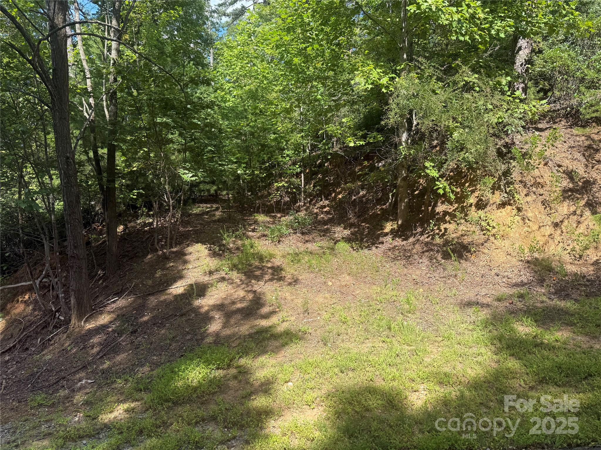 Property image 2 of Tbd Overland Trail in Forest Heights, Marion, NC 28752