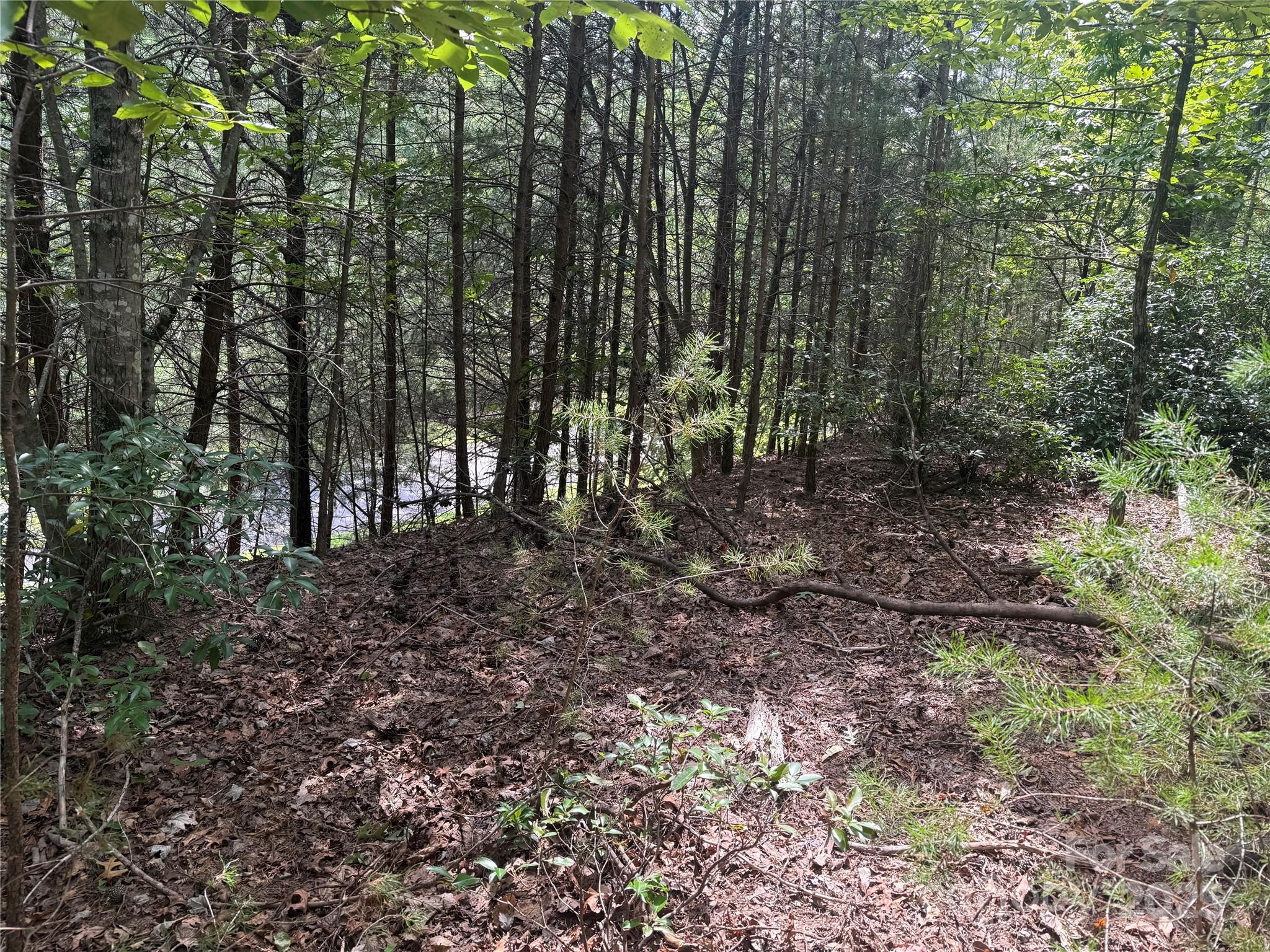 Property image 4 of Tbd Overland Trail in Forest Heights, Marion, NC 28752