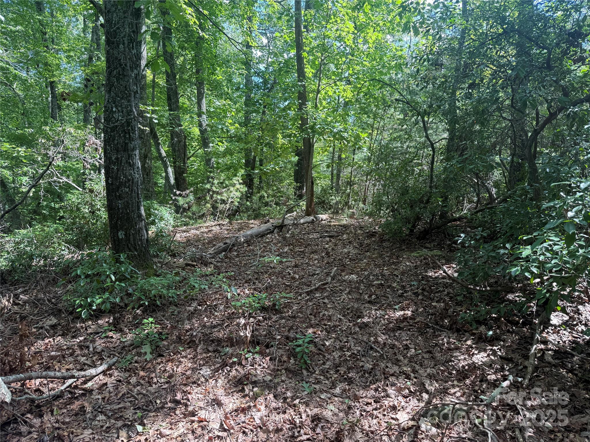 Property image 5 of Tbd Overland Trail in Forest Heights, Marion, NC 28752