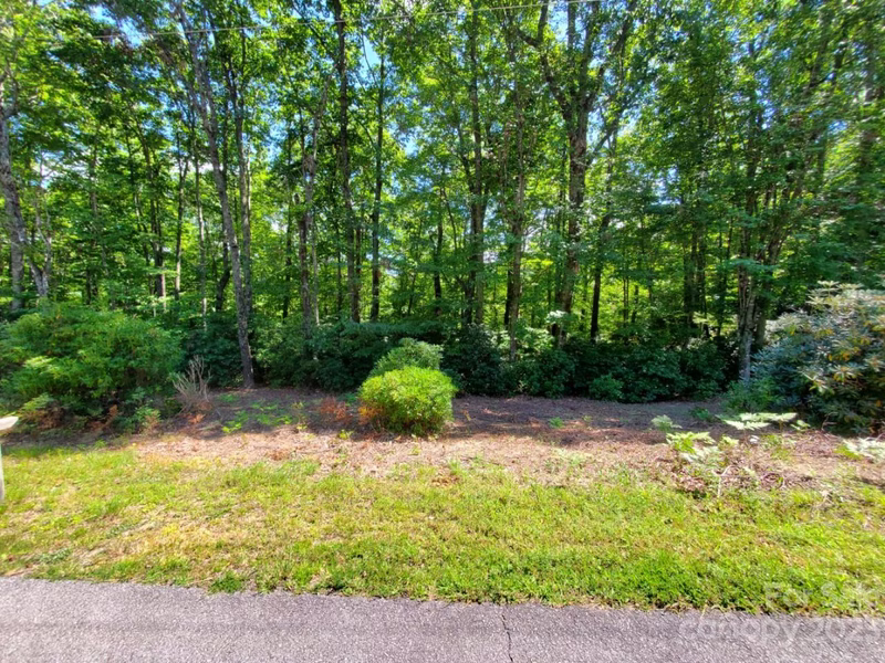 Tbd Pisgah Forest Drive