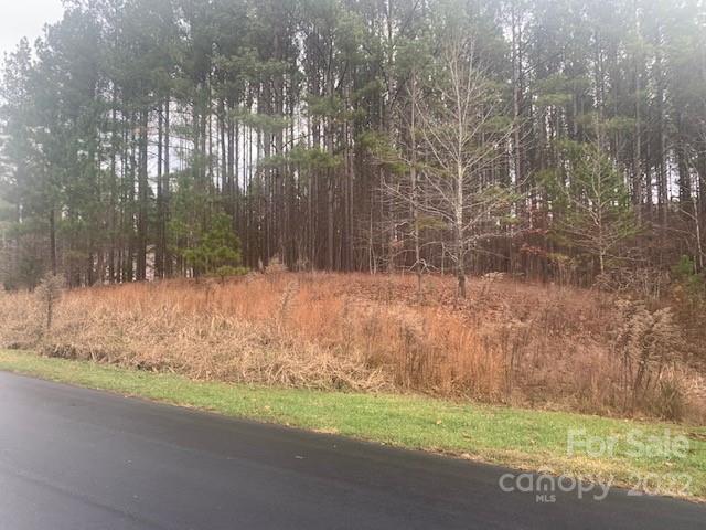 Property image 3 of 118 Water Oak Way in Swift Island Plantation, Mount Gilead, NC 27306