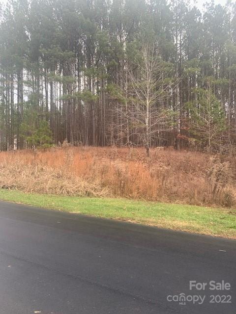 Property image 4 of 118 Water Oak Way in Swift Island Plantation, Mount Gilead, NC 27306