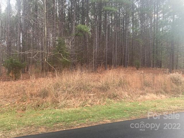 Property image 5 of 118 Water Oak Way in Swift Island Plantation, Mount Gilead, NC 27306