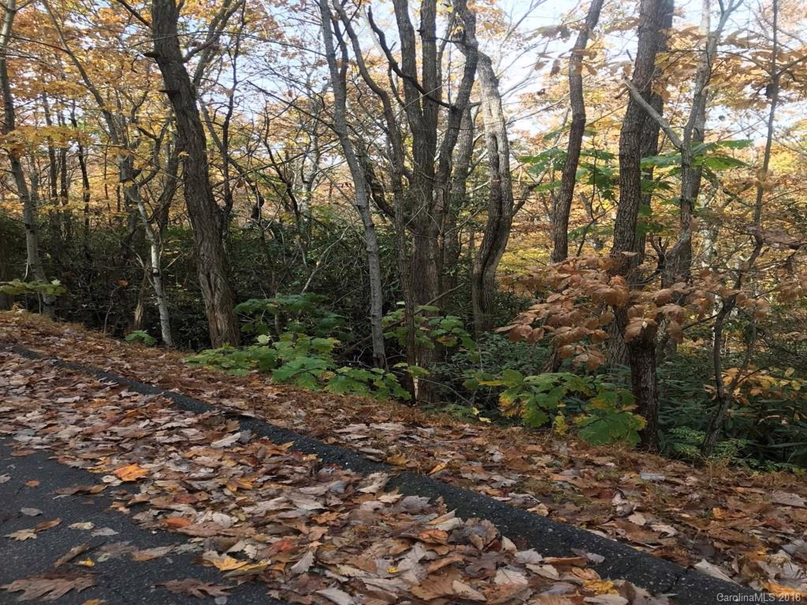 Property image 1 at Lot 118 Timber Creek, Hendersonville, NC 28739