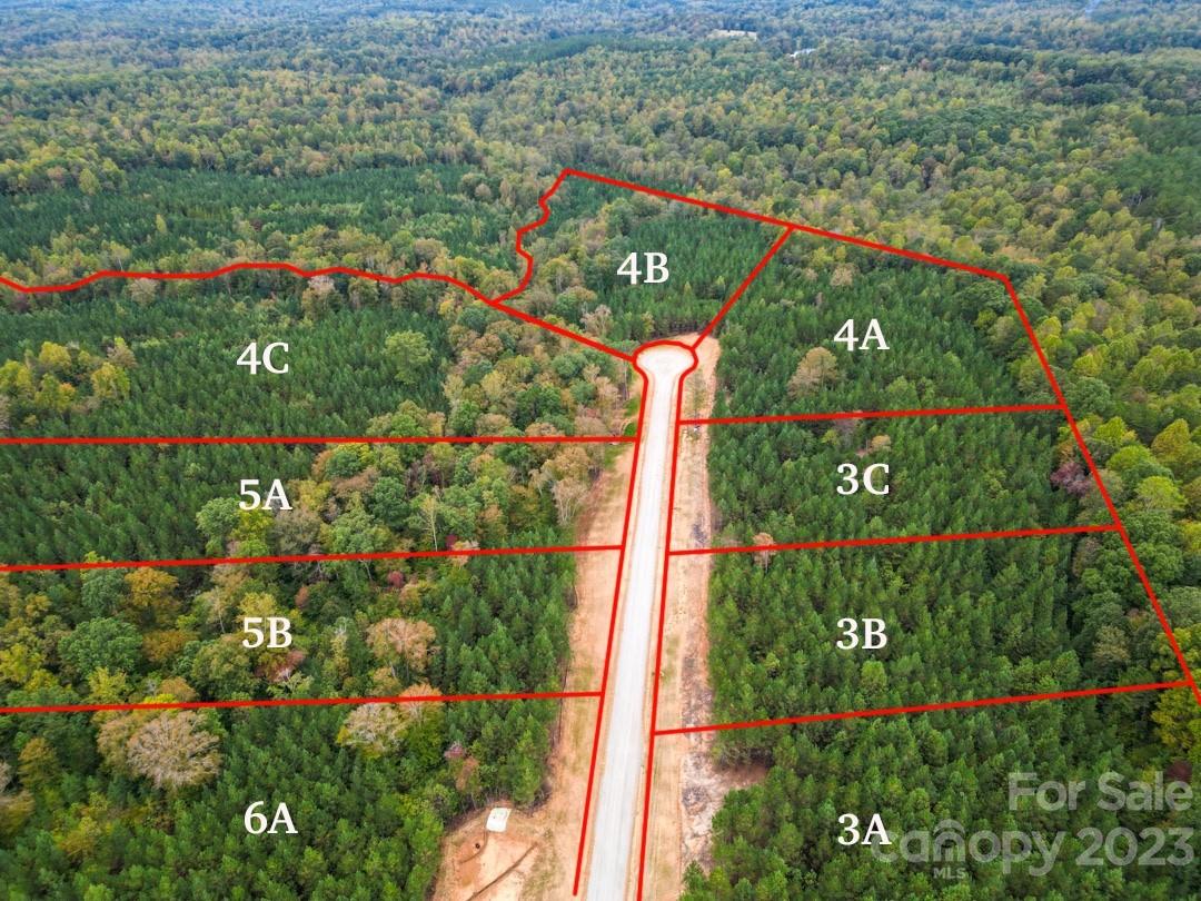 Property image 2 of 4c Hidden Forest Drive in The Forest at Beth Haven, Denver, NC 28037