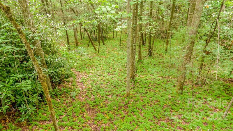 Property image 2 at 99999 Tbd Ridge Top Road, Pisgah Forest, NC 28768
